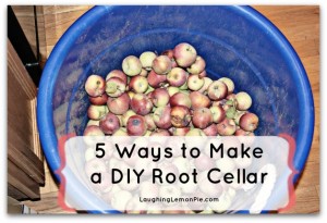 5 ways to make a DIY root cellar