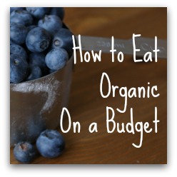 organic on a budget button