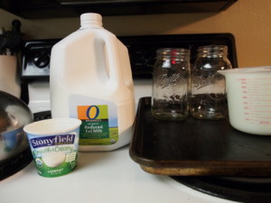 Make your own Yogurt from LaughingLemonPie.com
